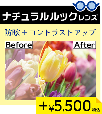 ナチュラルルックレンズ